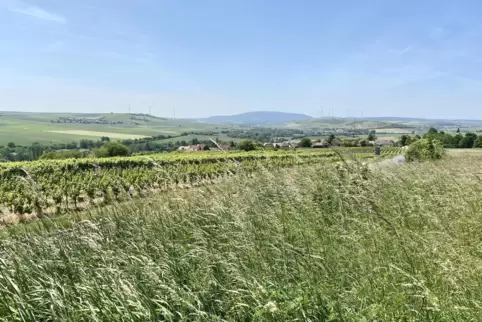 Die VG Göllheim ist ein schönes Fleckchen Erde. Hier ein Blick aus dem Zellertal Richtung Donnersberg.