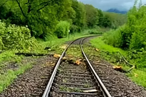 20 Fahrgäste erlebten den Unfall mit. 