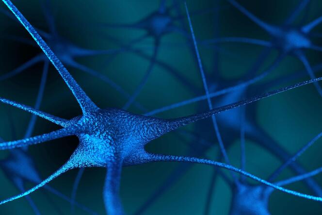 Die Immunzellen attackieren das Myelin, die Schutzschicht der Neuronenfortsätze. Durch die Entzündung leidet das Myelin, sodass