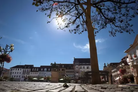 Der Landauer Rathausplatz.