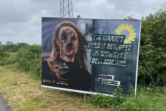 Verunstaltet: Plakat der Grünen-Spitzenkandidatin für die Europawahl Terry Reintke in Berghausen.