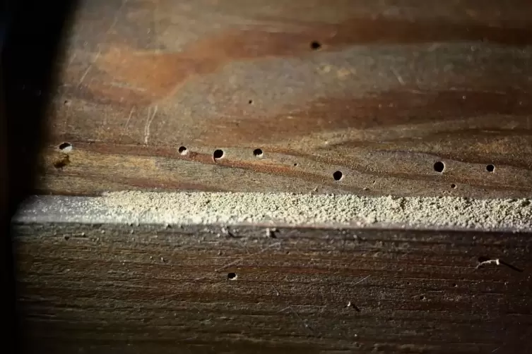 Holzwurmlöcher in einem Möbelstück