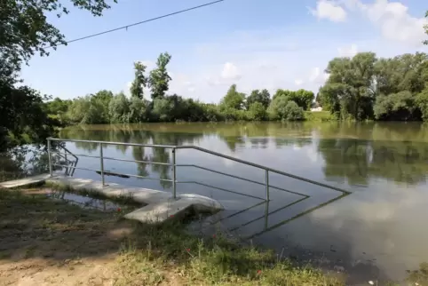 Hochwasser: Sollte der Deich nicht halten, wird es in Altrip brenzlig. 