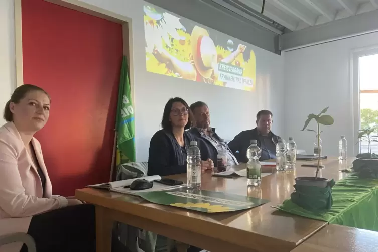 Wie gelingt die W&auml;rmewende? Das war Thema einer Podiumsdiskussion der Gr&uuml;nen am Mittwoch mit Kreisvorsitzender Mareike Leckinger