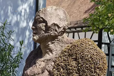 Ein Bienenvolk besetzt die Reiterfigur auf dem Karl-Josef- Stöffler-Platz.