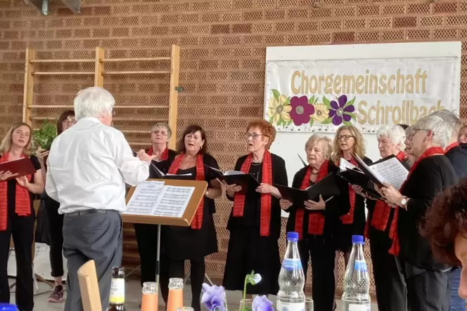 Die Frauenchorgemeinschaft Schrollbach-Niedermohr zeigte beim Jubiläumskonzert einmal mehr ihr Können.