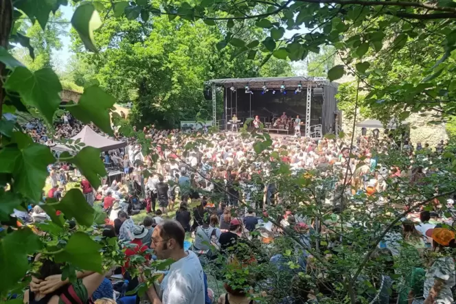 Kulturfest im Grünen: das »Open Ohr« vor einem Jahr.