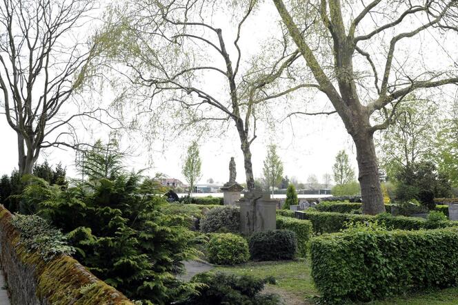 Der Friedhof in Flomersheim soll aufgewertet und ökologisch umgestaltet werden.