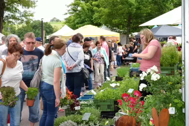 Schauen, probieren, fachsimpeln, kaufen - der Bauern- und Gärtnermarkt in Nünschweiler – hier ein Foto aus dem Jahr 2019 – hat n