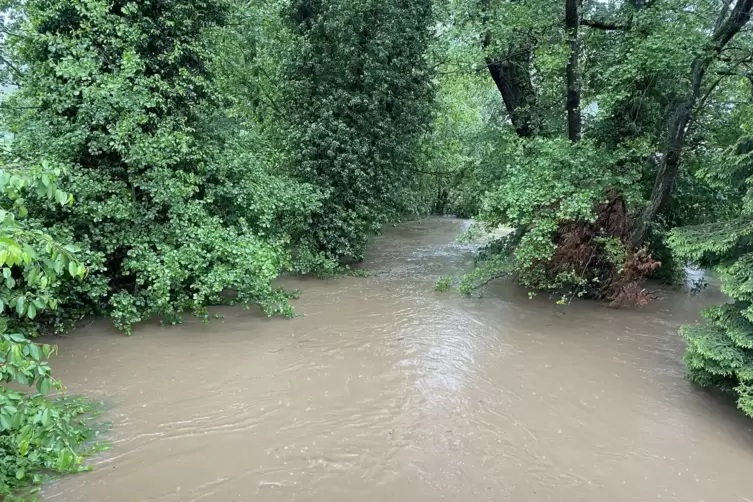 Hochwasser an der Lauter.