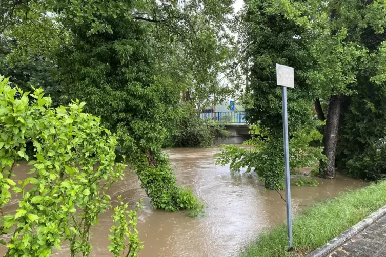Noch ist die Lauter bei Scheibenhardt nicht &uuml;ber die Ufer getreten.