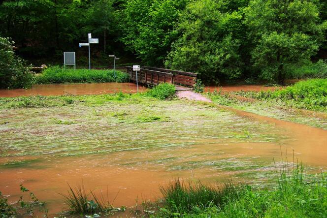 Spuren des Hochwassers an der Gräfinbrücke am Mühlenwander- und Radweg.