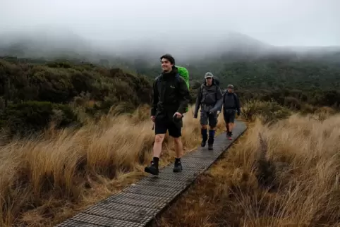 Bohlenweg auf dem Heaphy Track in Neuseeland