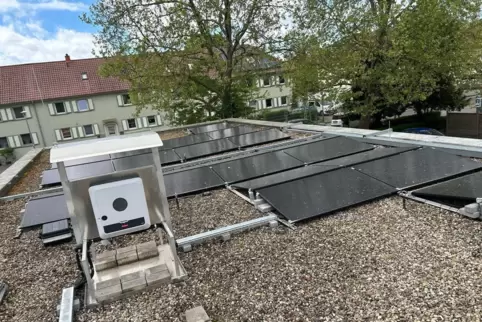 Dank einer Spende der Technischen Werke Ludwigshafen war es möglich, die Fotovoltaikanlage auf dem Dach zu installieren. 