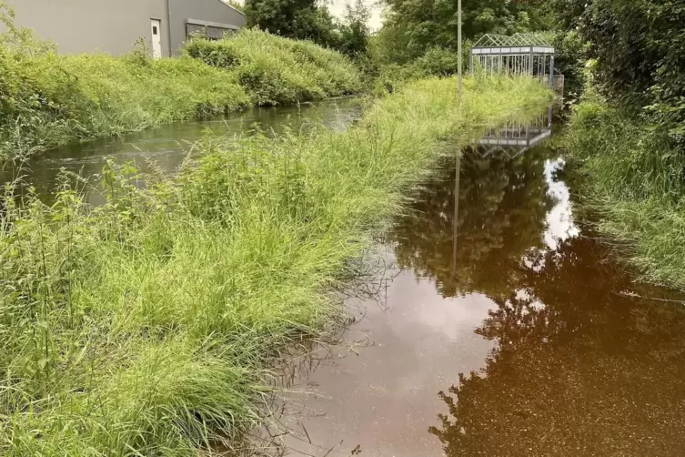 Der Heilbach f&uuml;hrt am Weg zur Alten Bahnmeisterei hinter der S&uuml;dpfalzwerkstatt immer noch viel Wasser.