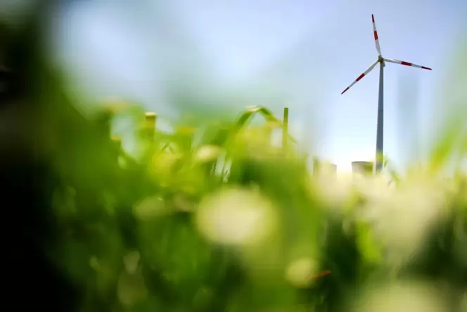 An den Anblick von Windrädern auf ihrer Gemarkung werden sich die Dirmsteiner wohl in Zukunft gewöhnen müssen. An den Anblick von Windrädern auf ihrer Gemarkung werden sich die Dirmsteiner wohl in Zukunft gewöhnen müssen.