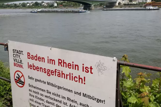 Schilder mit »Baden im Rhein ist lebensgefährlich«