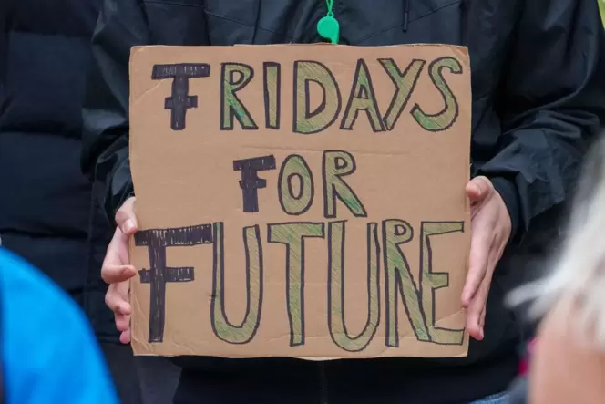 Kundgebungsteilnehmer mit Schild »Fridays for Future«