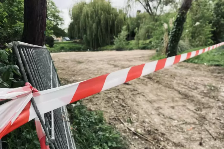 Noch ist der fr&uuml;here Teich im Vogelpark eine Baustelle. Er soll k&uuml;nftig zur Ruhezone werden. 