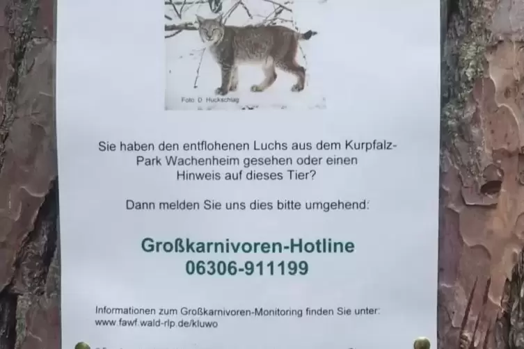 Durch Zettel wie diesen hoffen Experten auf Hinweise. 