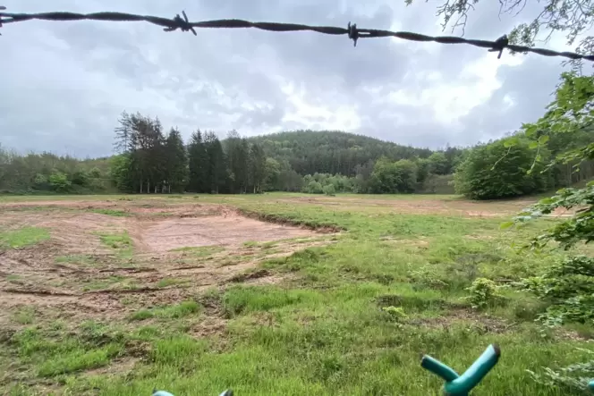 Im vergangenen Jahr wurde die Fläche, auf der sich drei Teiche mit einem Schilfgürtel befanden, eingeebnet, um dort Holzstämme z Im vergangenen Jahr wurde die Fläche, auf der sich drei Teiche mit einem Schilfgürtel befanden, eingeebnet, um dort Holzstämme z