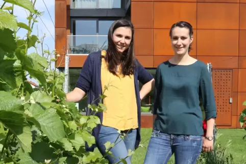  Karoline (links) und Dorothee Gaul vom Weingut Gaul in Sausenheim in den Weinbergen vor dem Neubau, der die Vinothek enthält. 