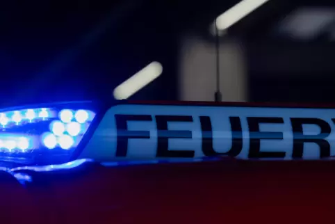 Die Polizei ermittelt zur Ursache des Pkw-Brandes und sucht Zeugen. 