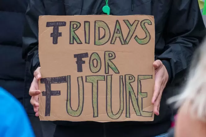 Kundgebungsteilnehmer mit Schild »Fridays for Future«