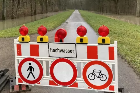 Ab morgen läuft der Rhein in den Polder Wörth-Jockgrim.