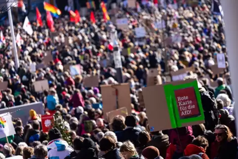 Demonstration gegen Rechts - Freiburg