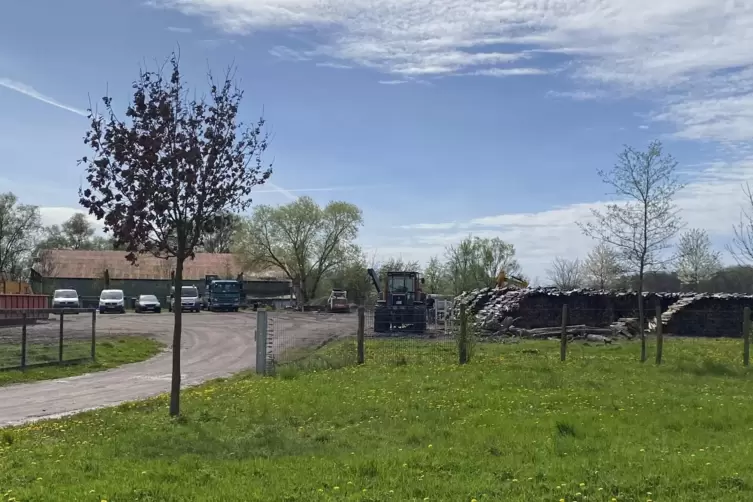 Holz wird gelagert und ofenfertig zers&auml;gt. Die Halle im Hintergrund geh&ouml;rt einem Landwirt.