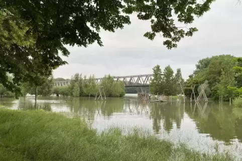 Am Montagmorgen sinkt bei Germersheim das Wasser langsam wieder.