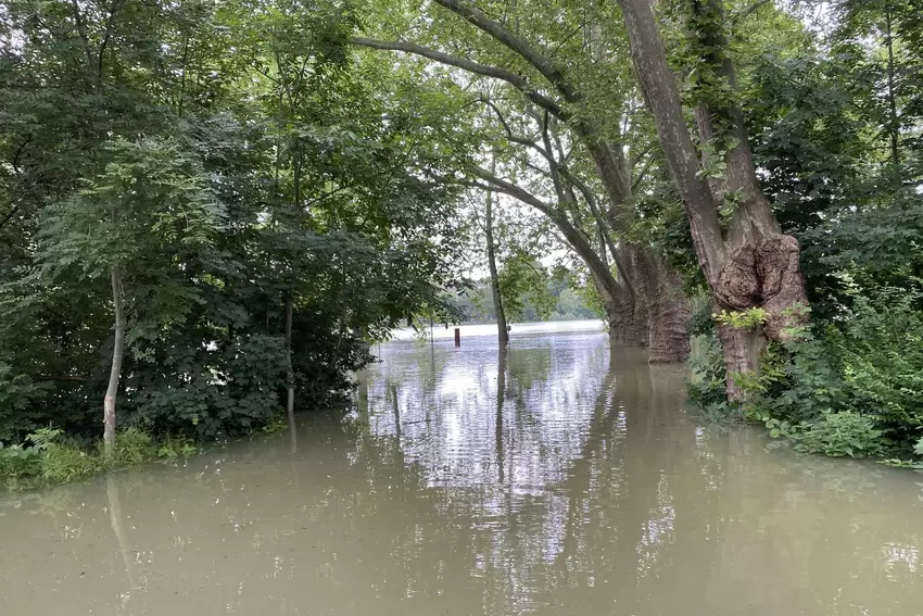 Wasserlandschaft: Der Rhein fließt durch den Stadtpark.