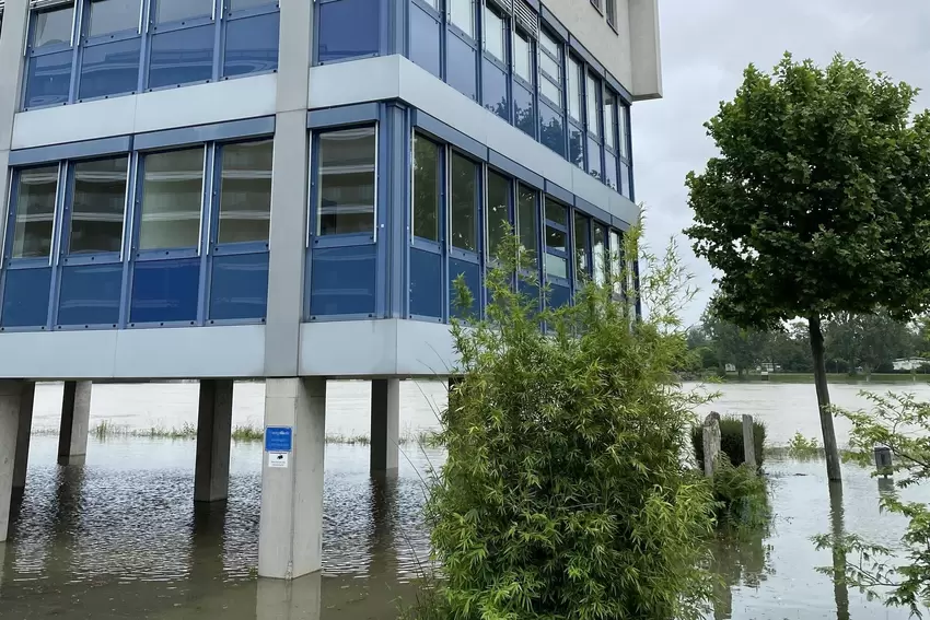 Am Ostasieninstitut.