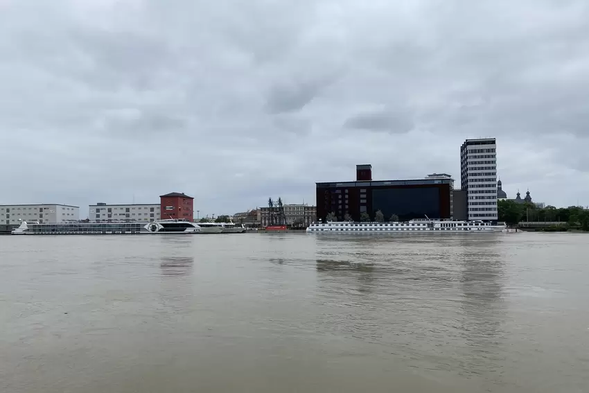 Sicht auf die Mannheimer Seite: ein ungewohnter Anblick.