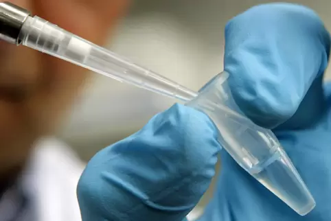 Eine sichergestellte DNA-Spur soll mehr Klarheit in den Fall bringen. 