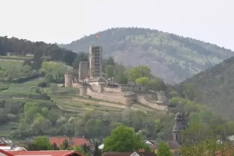 Zwei Sinnesliegen sollen an der Wachtenburg einen Platz finden. 