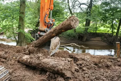 Die Stämme sind Teil von drei Treibgutfängern, die im Glan eingebaut werden.