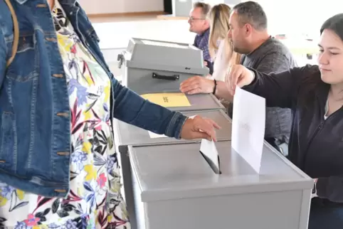 wahl4