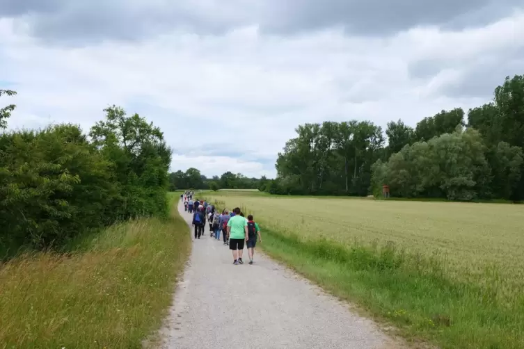 Von der Alten Ziegelei in Sondernheim ging es wieder zur&uuml;ck zum &bdquo;Hufeisen&ldquo;.