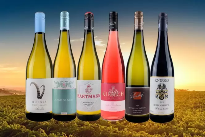 Der passende Wein für jeden Moment: das »LEO-Sommer-Weinpaket«. Der passende Wein für jeden Moment: das »LEO-Sommer-Weinpaket«.