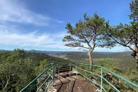 Damit der Pfälzerwald, hier am Löffelsberg bei Busenberg, gesund bleibt, braucht er regelmäßig Regen.