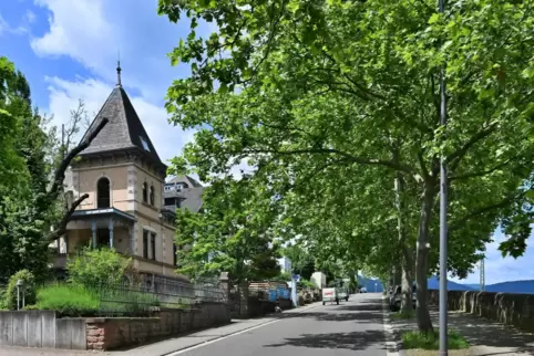 In einigen ehemals großbürgerlichen Villen haben sich Dienstleister angesiedelt, andere werden noch oder wieder privat bewohnt. 