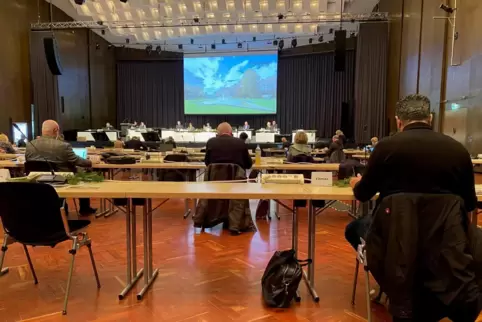 Der Stadtrat tagt im Konzertsaal des Pfalzbaus.