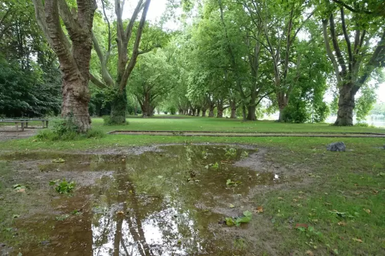  Auf der k&uuml;nftigen Festivalwiese stehen noch Pf&uuml;tzen, alles ist feucht