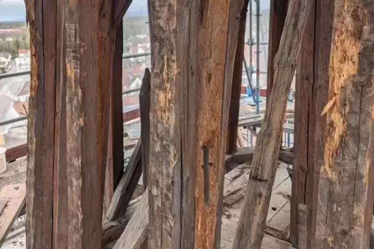 Feuchtigkeit und Sch&auml;dlinge haben den Sparren zugesetzt.