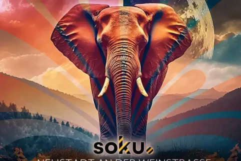 Plakat zum Festival_ „Der Elefant aus Wustrow“ – gemeint ist das Kollektiv 3000 Grad – macht sich laut Veranstaltern auf, „um de