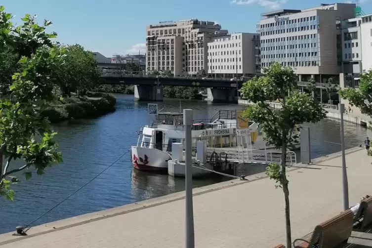 Unter anderem deshalb findet der Kongress am Donnerstag auf dem Schiff &bdquo;Frohsina&ldquo; statt, das in Saarbr&uuml;cken an der Saar liegt. 