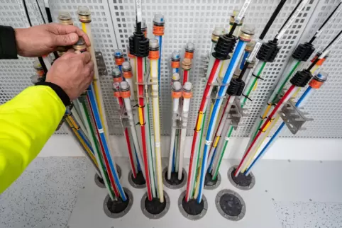  Kabel in einem PoP-Verteiler von Glasfasern.