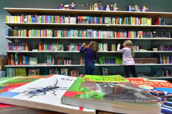 Mehr als 200 Büchereien in Rheinland-Pfalz haben derzeit großen Zulauf von Kindern, denn am 1. Juli hat der Lesesommer begonnen. Mehr als 200 Büchereien in Rheinland-Pfalz haben derzeit großen Zulauf von Kindern, denn am 1. Juli hat der Lesesommer begonnen.